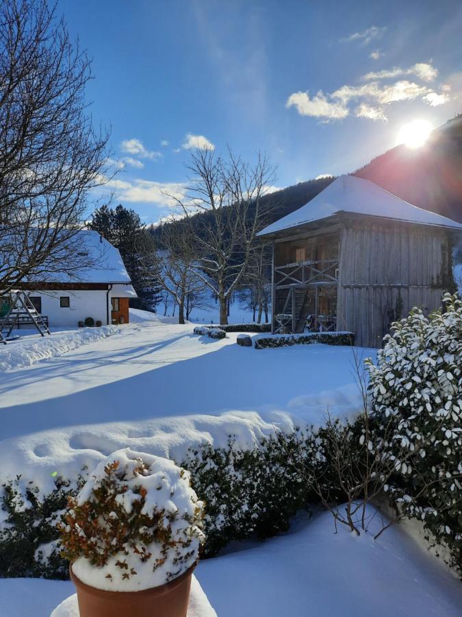 Attwengerhof Daire Traunkirchen Dış mekan fotoğraf
