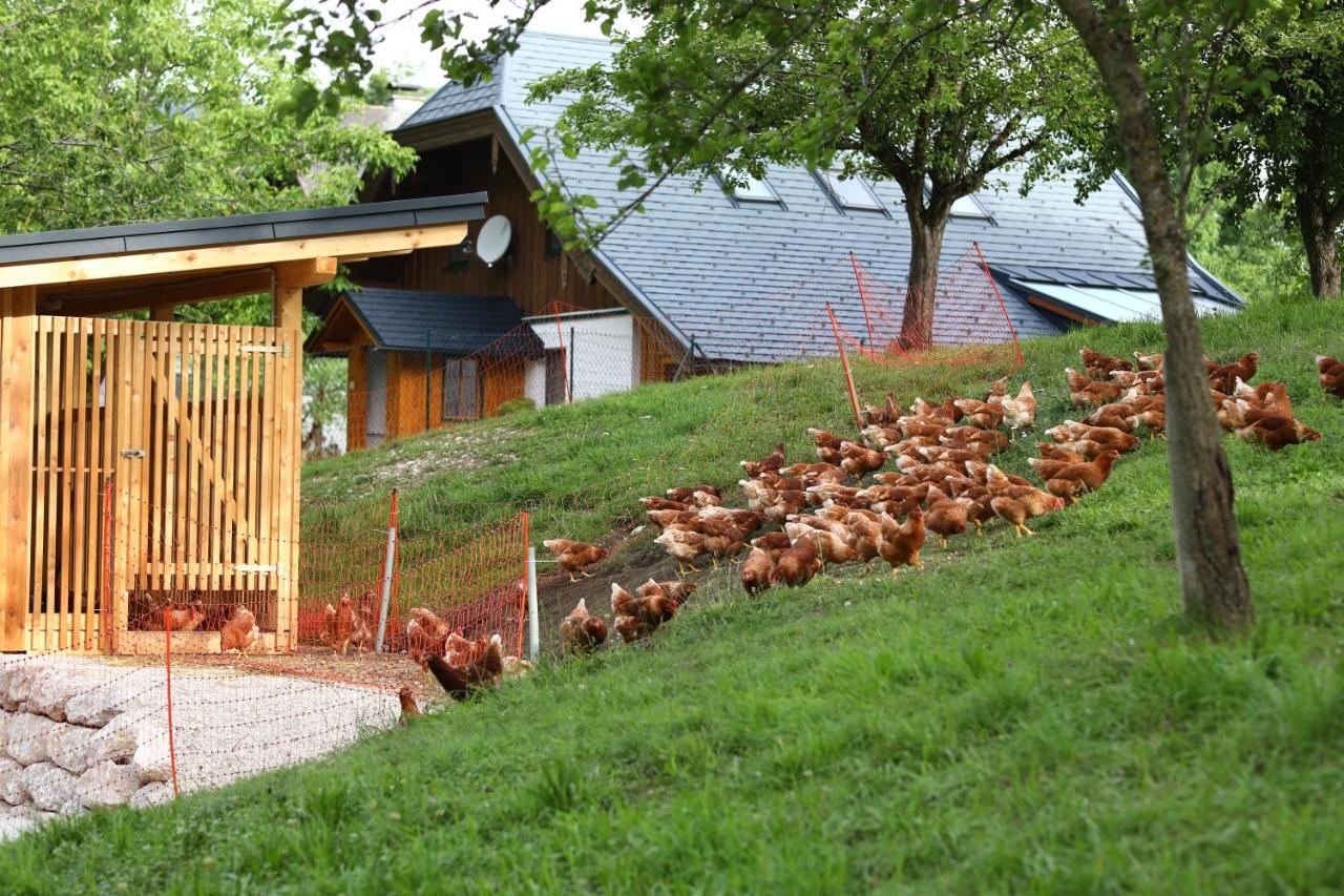 Attwengerhof Daire Traunkirchen Dış mekan fotoğraf