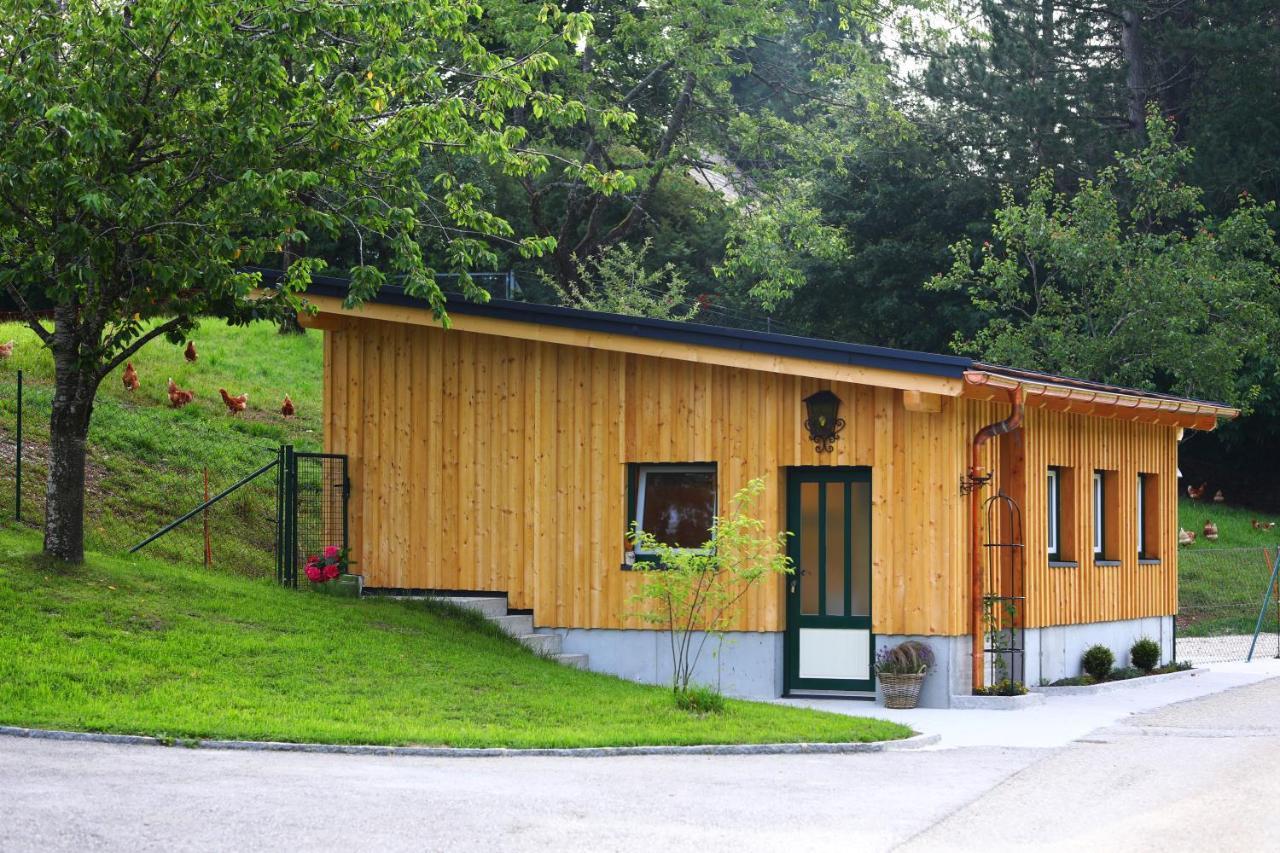 Attwengerhof Daire Traunkirchen Dış mekan fotoğraf
