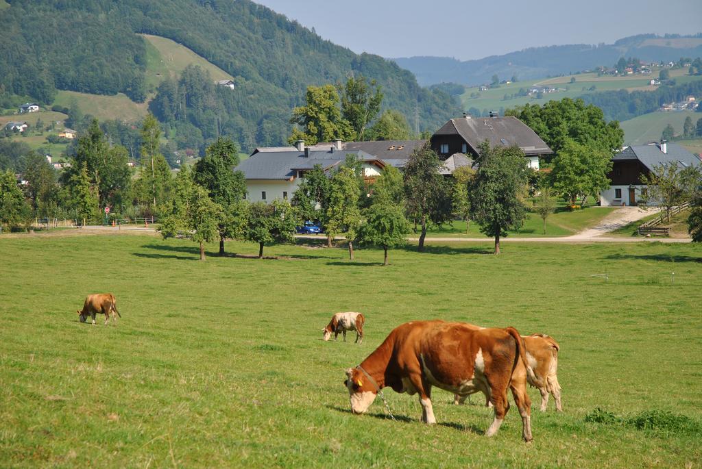 Attwengerhof Daire Traunkirchen Dış mekan fotoğraf